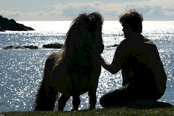 Shetland Pony Experience - Image